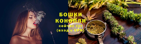 Альфа ПВП Новозыбков