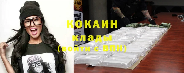 Альфа ПВП Новозыбков