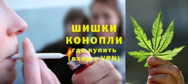 ПСИЛОЦИБИНОВЫЕ ГРИБЫ Новодвинск