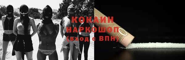 Альфа ПВП Новозыбков
