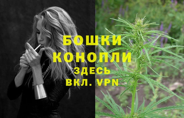 ПСИЛОЦИБИНОВЫЕ ГРИБЫ Новодвинск