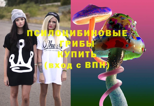 прущие крисы Новокубанск