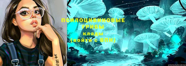 Альфа ПВП Новозыбков