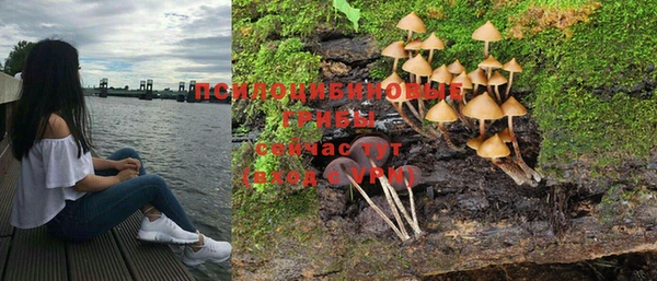 Альфа ПВП Новозыбков