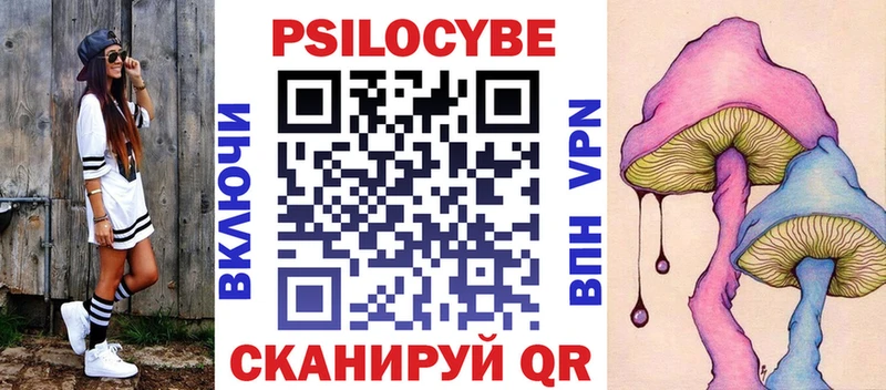 где продают наркотики  Котельнич  Псилоцибиновые грибы Cubensis 